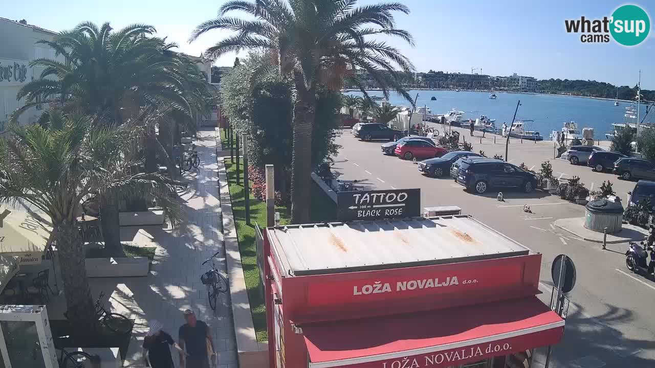 Camera en diecto Novalja – Obala Petra Krešimira IV