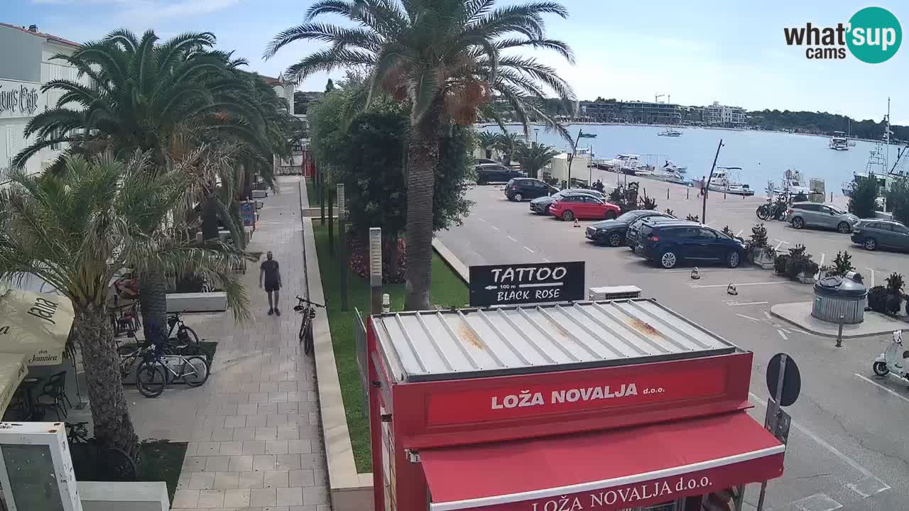 Web kamera Novalja – Obala Petra Krešimira IV