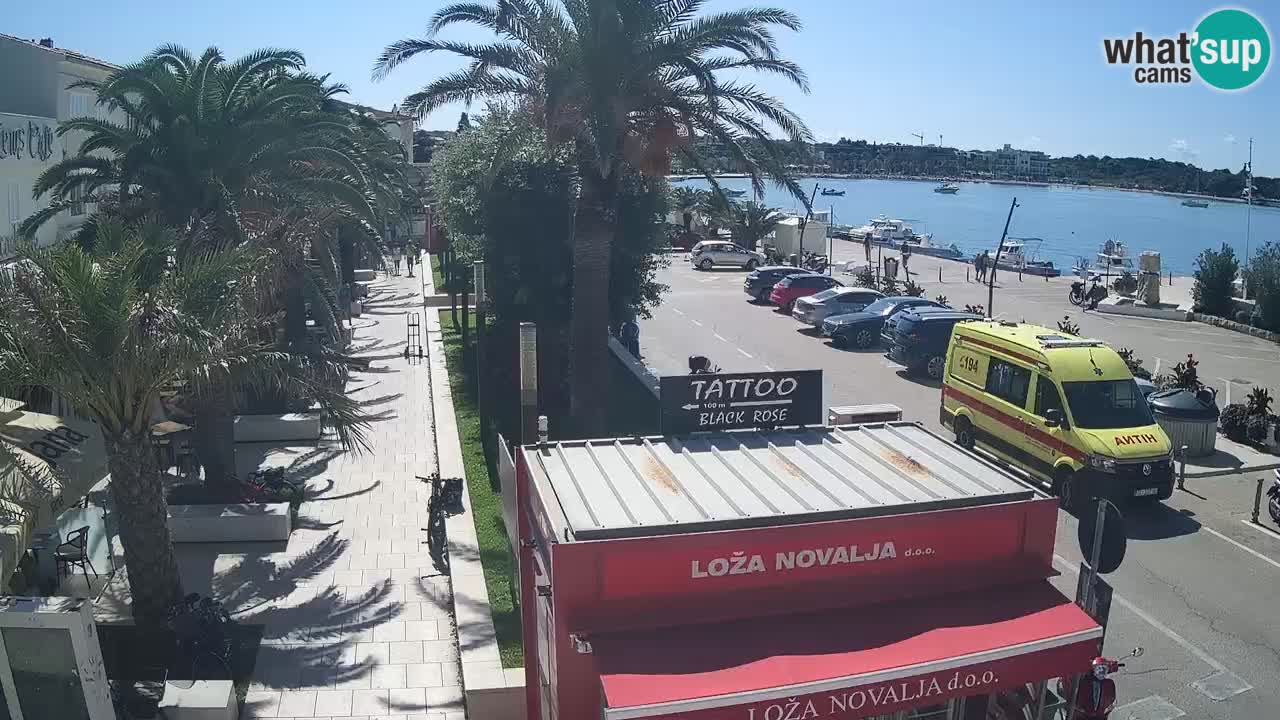 Web kamera Novalja – Obala Petra Krešimira IV