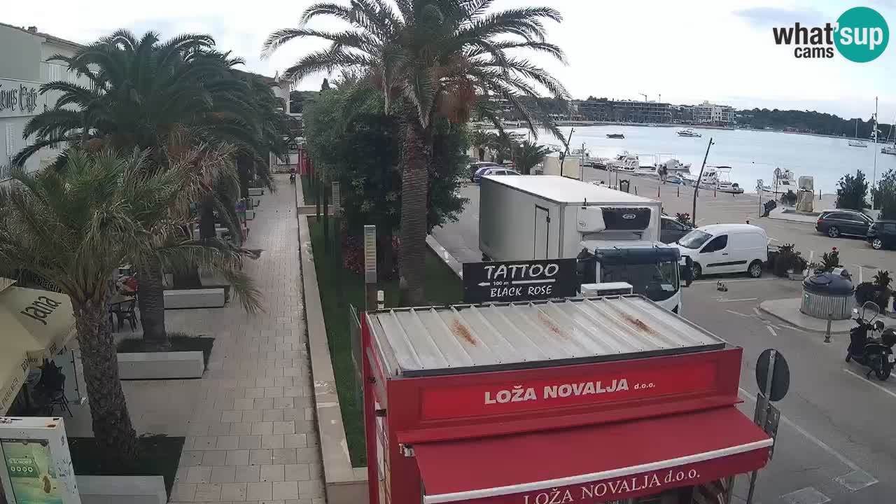 Camera en diecto Novalja – Obala Petra Krešimira IV
