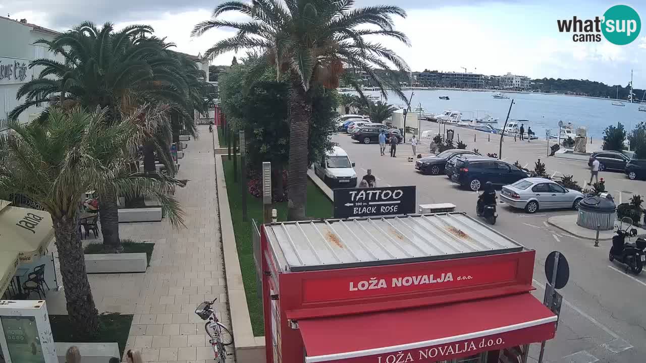 Camera en diecto Novalja – Obala Petra Krešimira IV