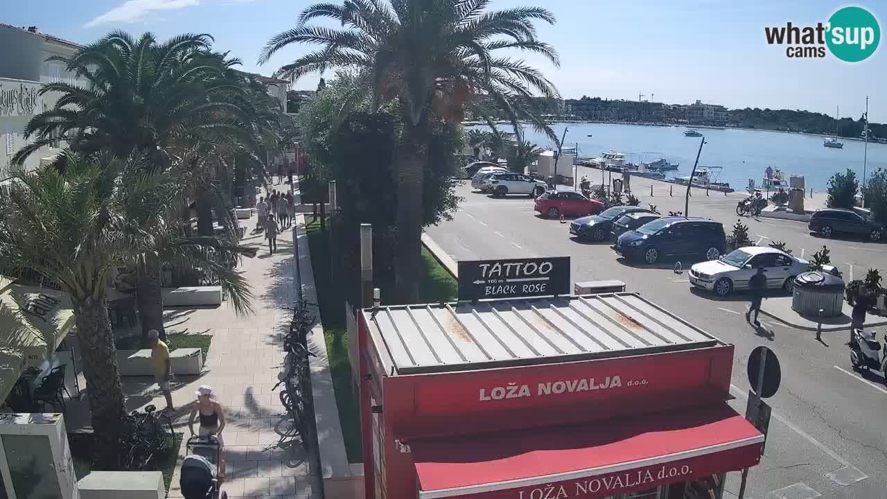 Webcam Novalja – Obala Petra Krešimira IV