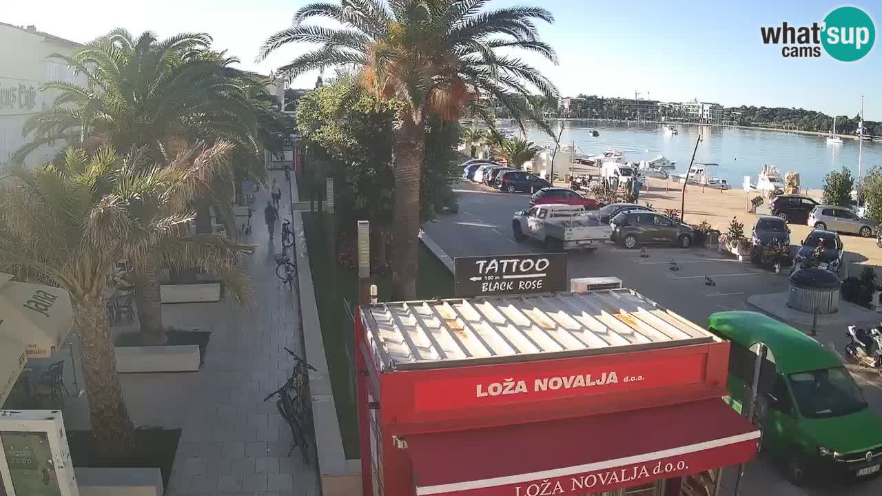 Camera en diecto Novalja – Obala Petra Krešimira IV