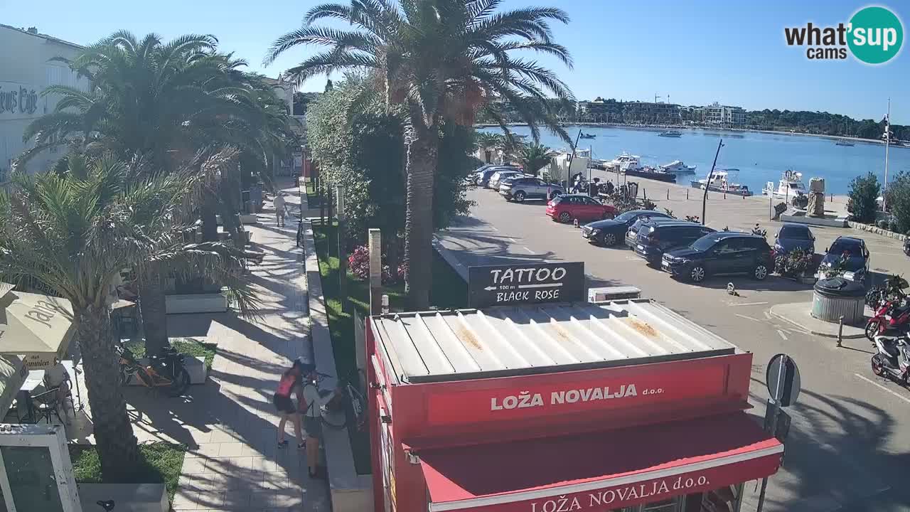 Web kamera Novalja – Obala Petra Krešimira IV