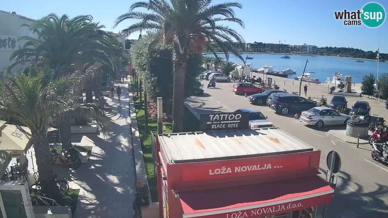 Camera en diecto Novalja – Obala Petra Krešimira IV