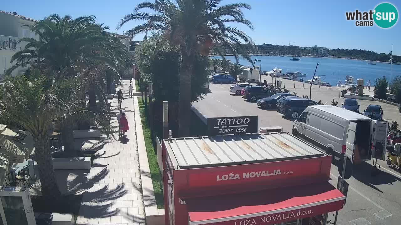 Live cam Novalja – Obala Petra Krešimira IV