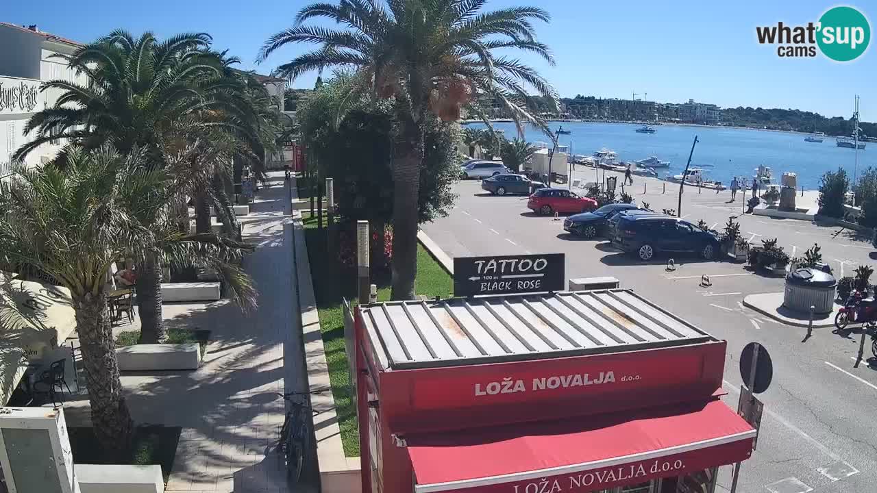 Live cam Novalja – Obala Petra Krešimira IV