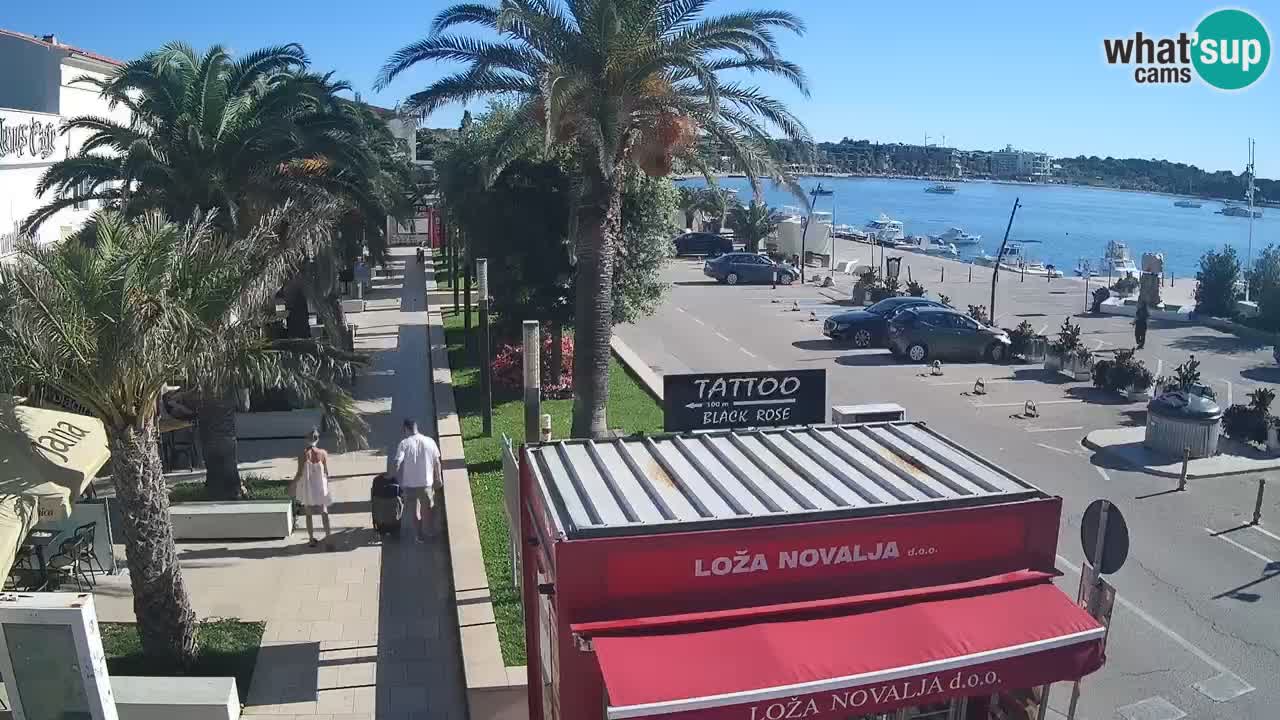 Camera en diecto Novalja – Obala Petra Krešimira IV