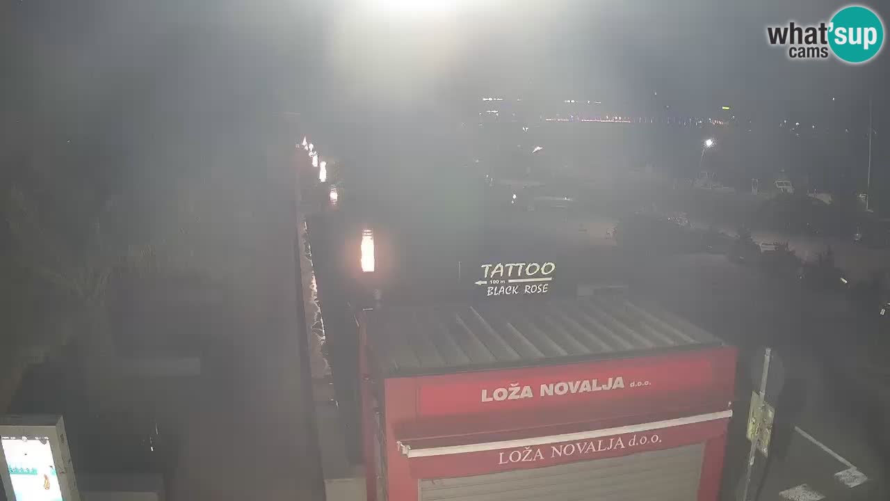 Camera en diecto Novalja – Obala Petra Krešimira IV