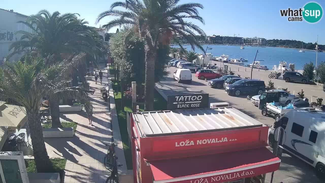 Camera en diecto Novalja – Obala Petra Krešimira IV