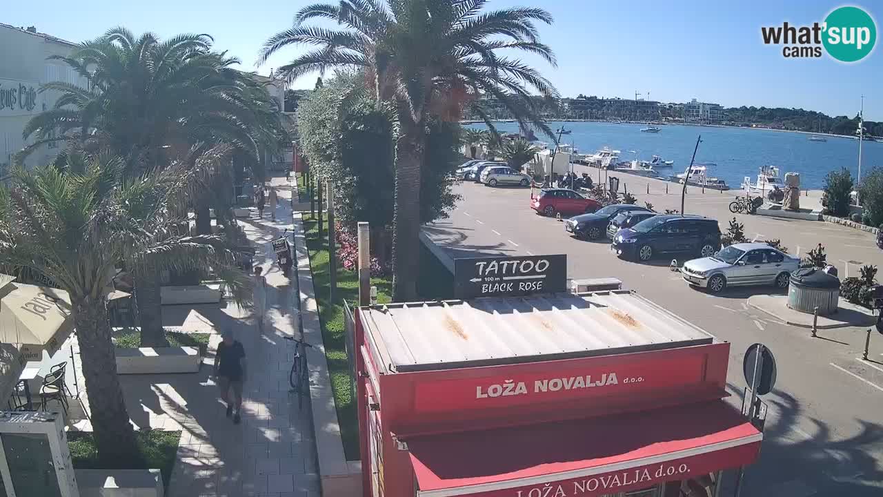 Web kamera Novalja – Obala Petra Krešimira IV