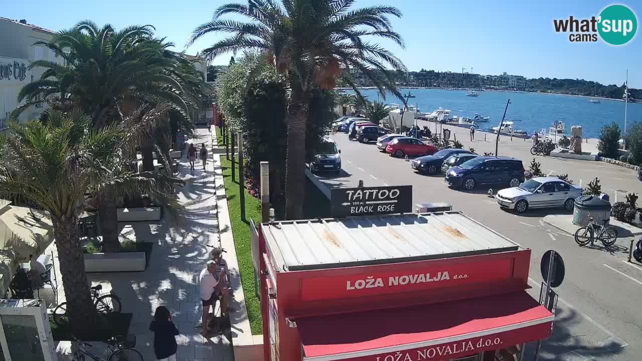 Live cam Novalja – Obala Petra Krešimira IV