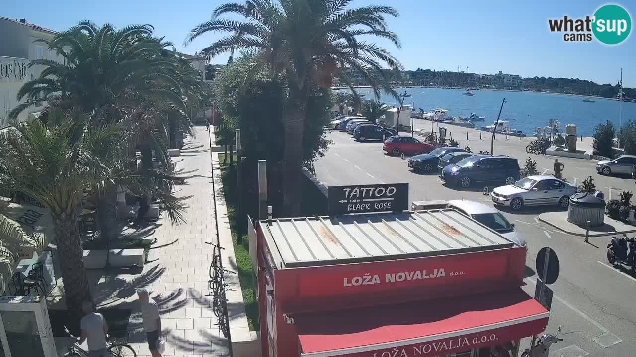 Camera en diecto Novalja – Obala Petra Krešimira IV