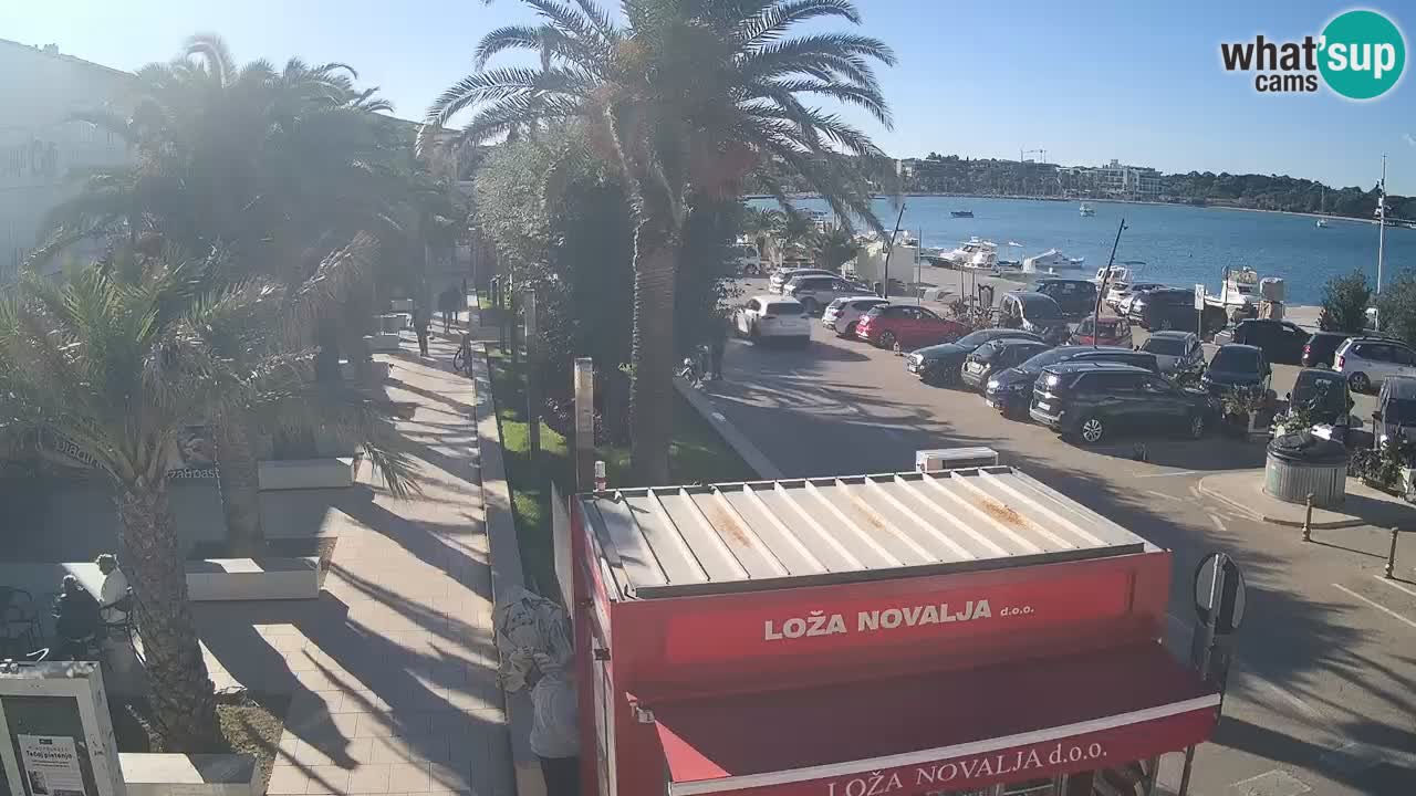 Camera en diecto Novalja – Obala Petra Krešimira IV