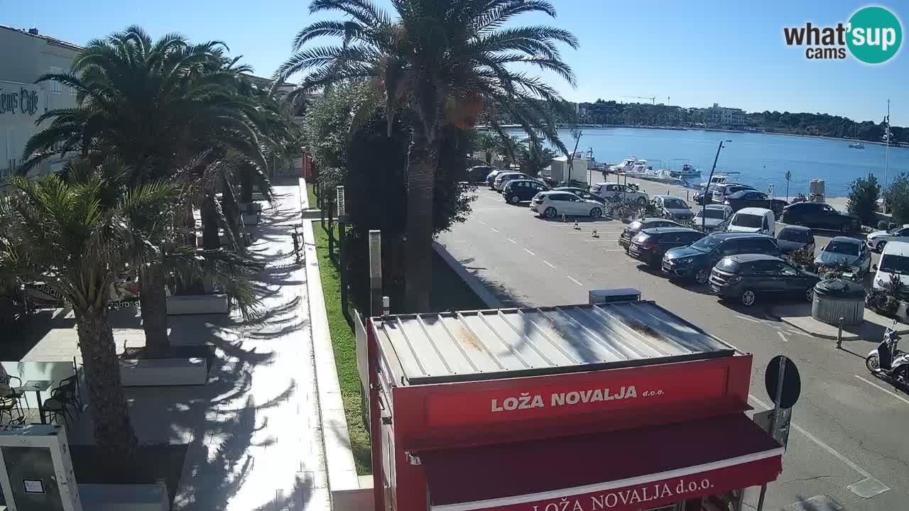 Webcam live Novalja – Obala Petra Krešimira IV