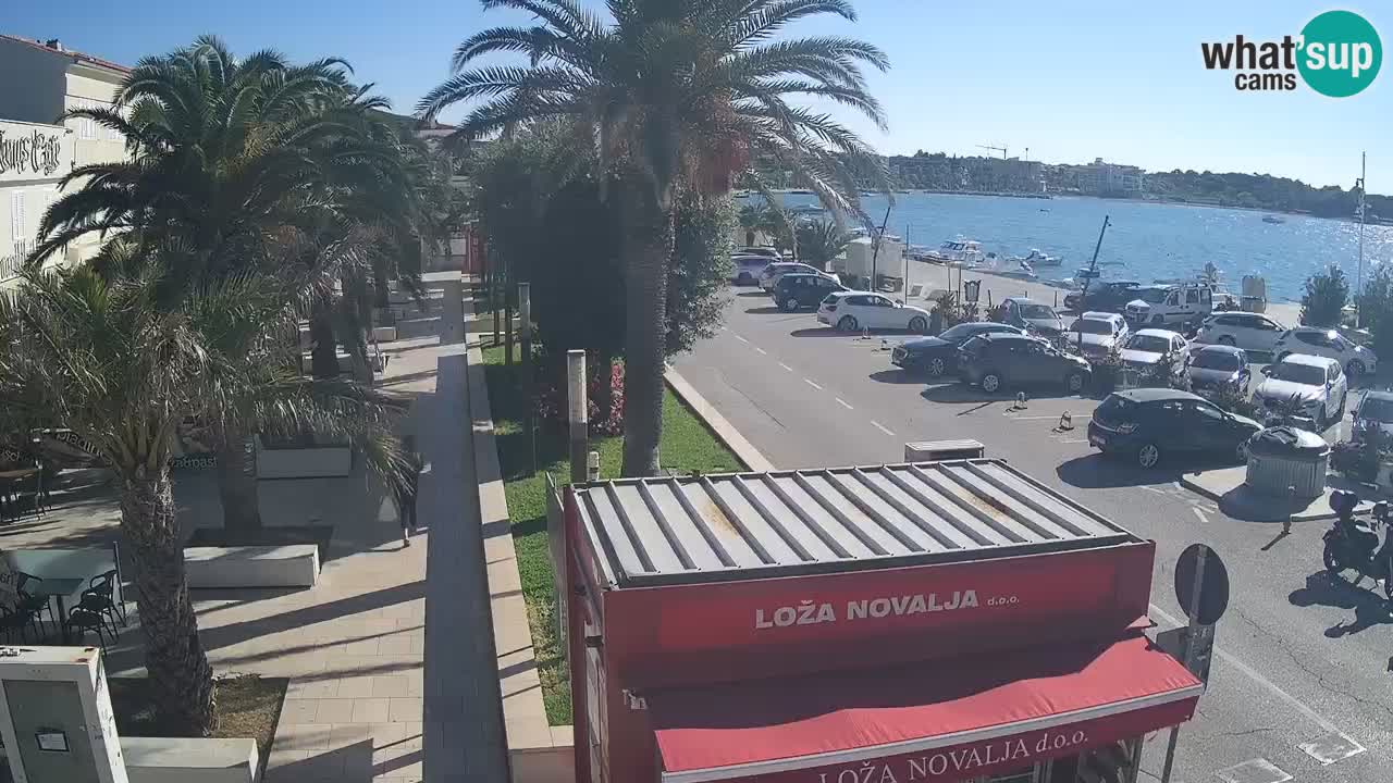 Camera en diecto Novalja – Obala Petra Krešimira IV