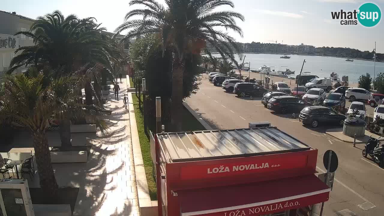 Camera en diecto Novalja – Obala Petra Krešimira IV