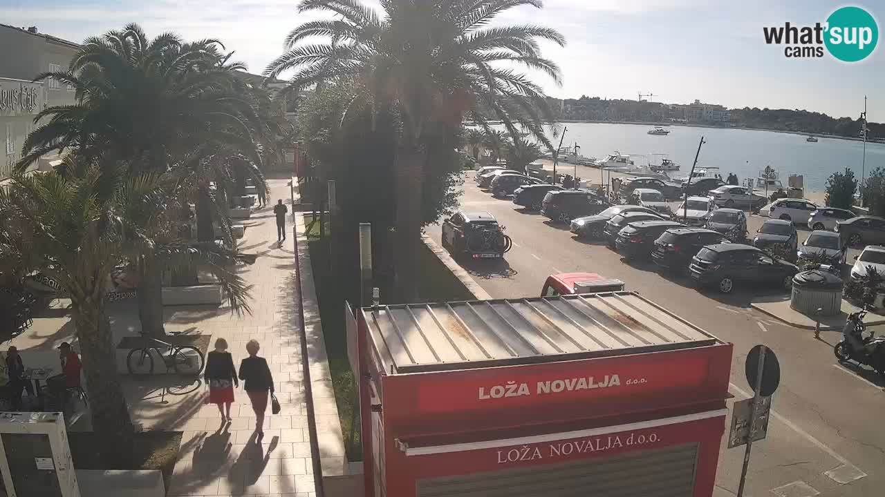 Camera en diecto Novalja – Obala Petra Krešimira IV