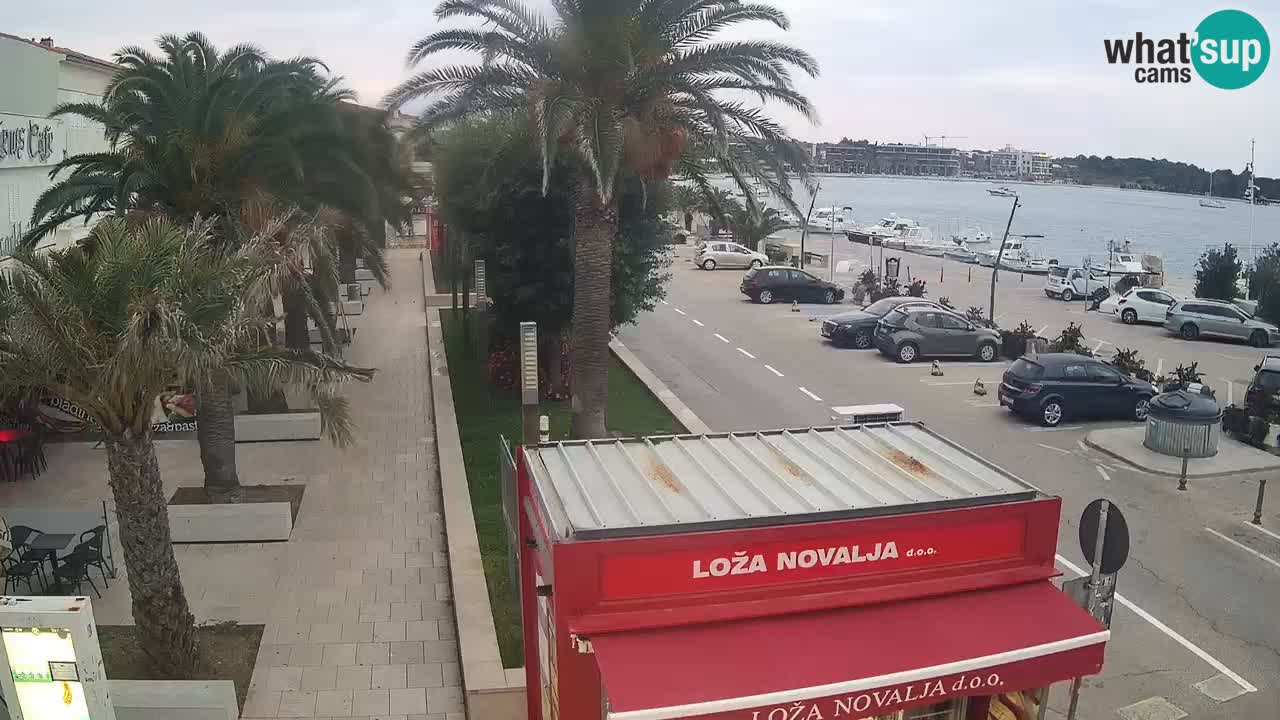 Camera en diecto Novalja – Obala Petra Krešimira IV