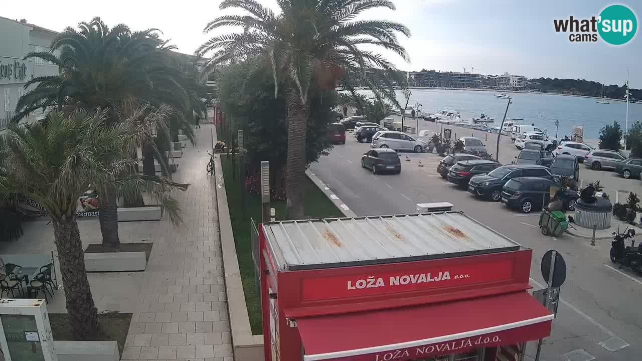 Camera en diecto Novalja – Obala Petra Krešimira IV