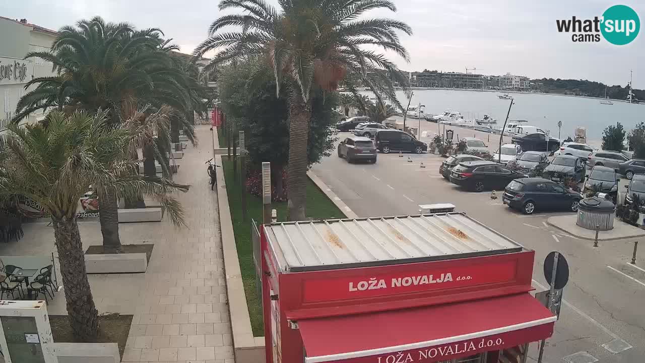 Camera en diecto Novalja – Obala Petra Krešimira IV