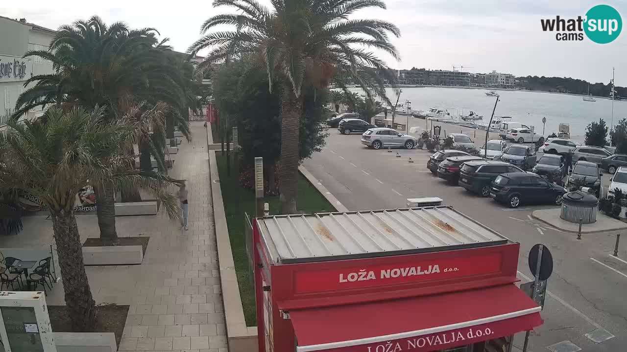 Camera en diecto Novalja – Obala Petra Krešimira IV