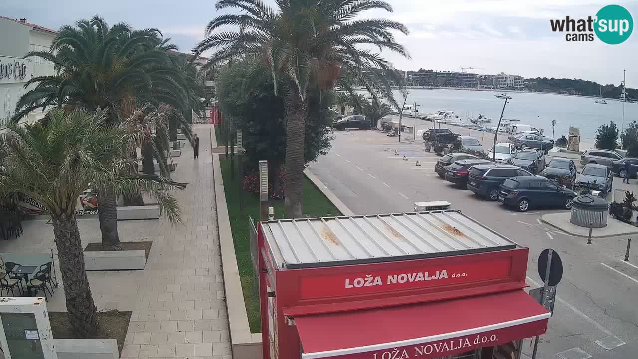 Camera en diecto Novalja – Obala Petra Krešimira IV