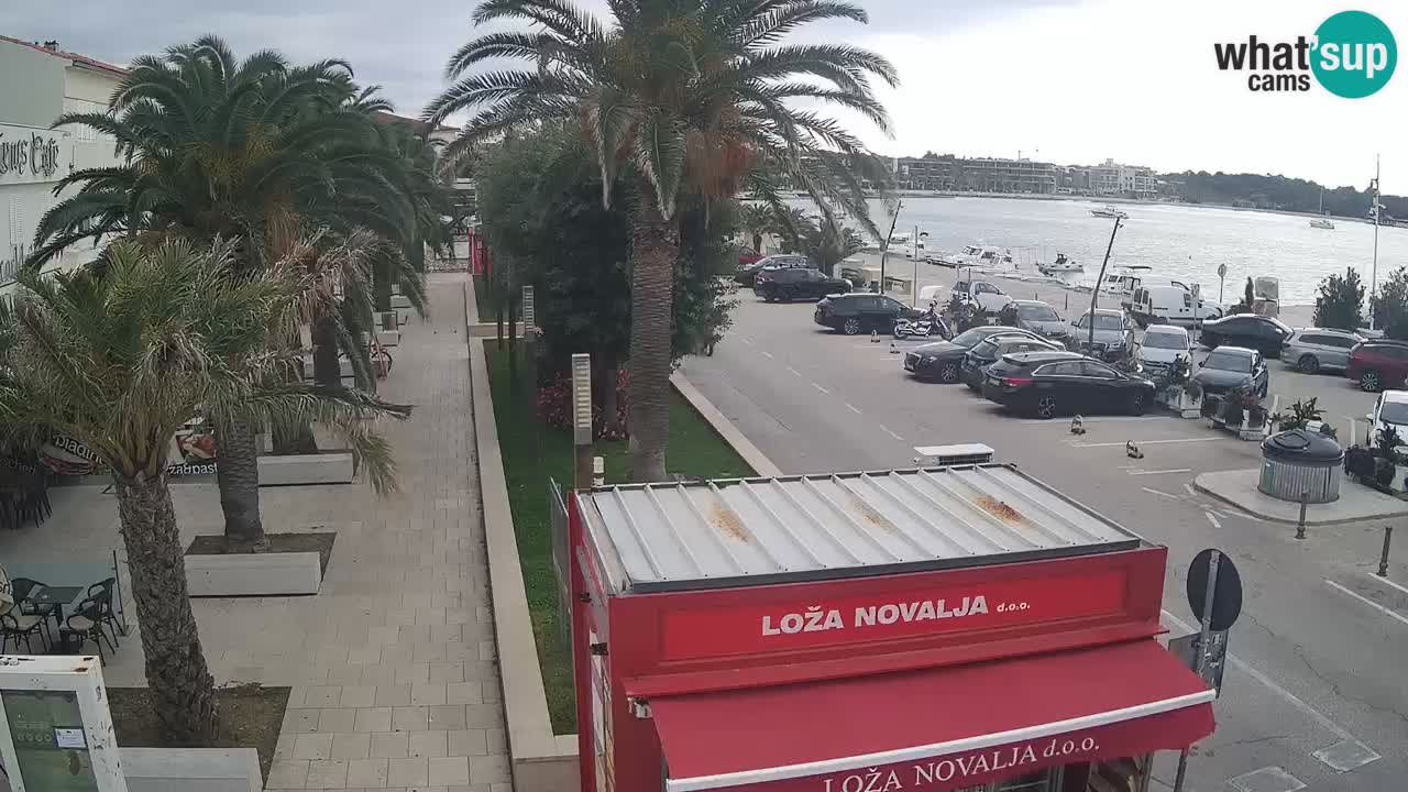 Web kamera Novalja – Obala Petra Krešimira IV