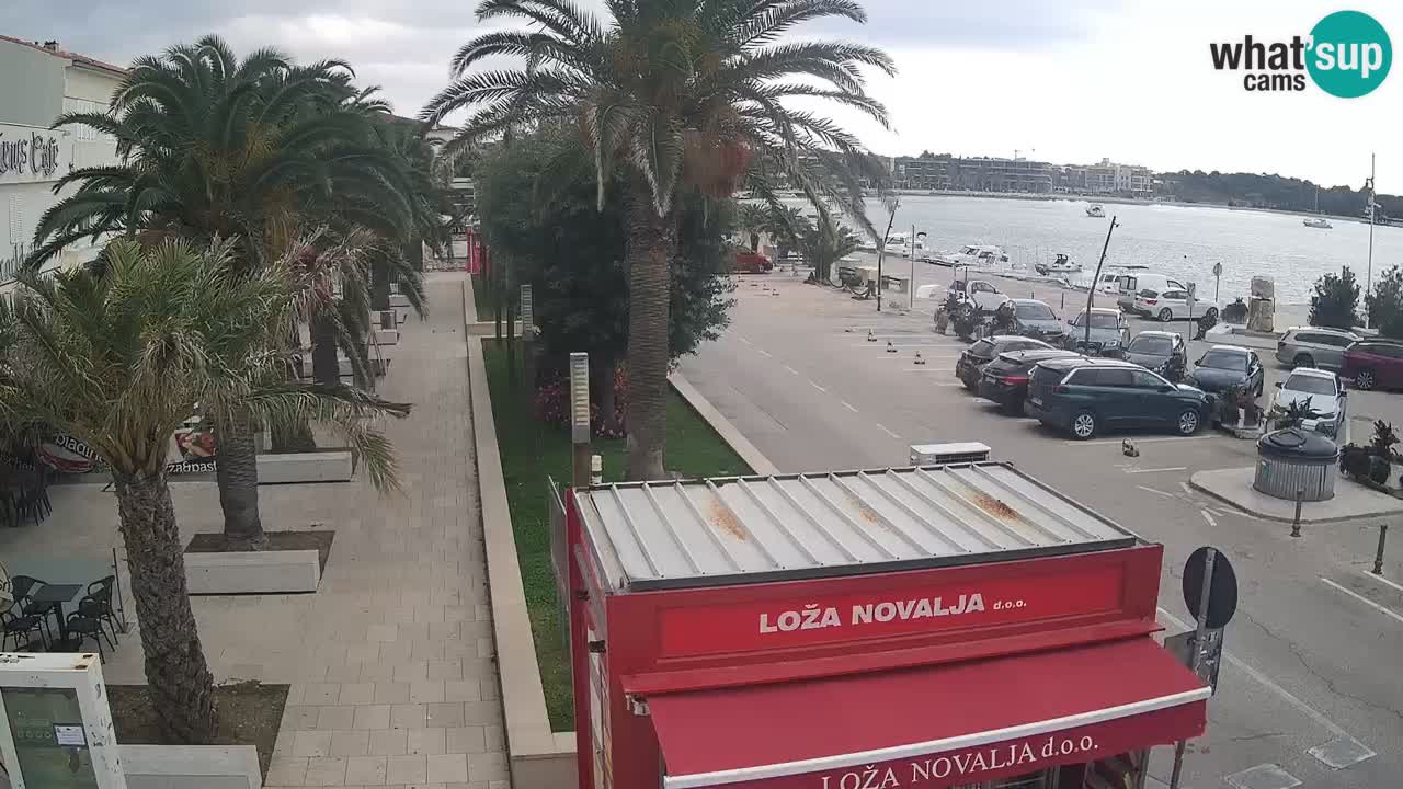 Camera en diecto Novalja – Obala Petra Krešimira IV