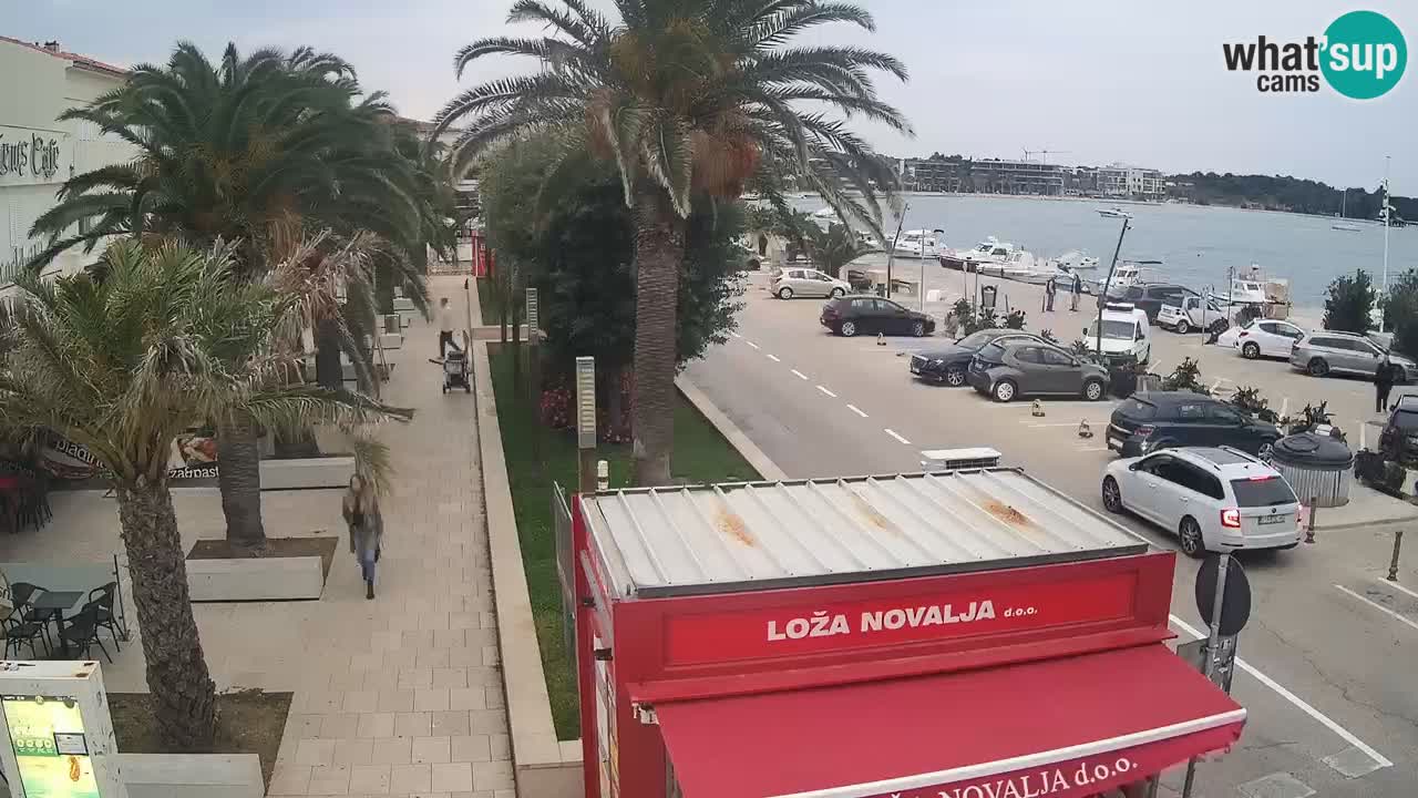 Camera en diecto Novalja – Obala Petra Krešimira IV