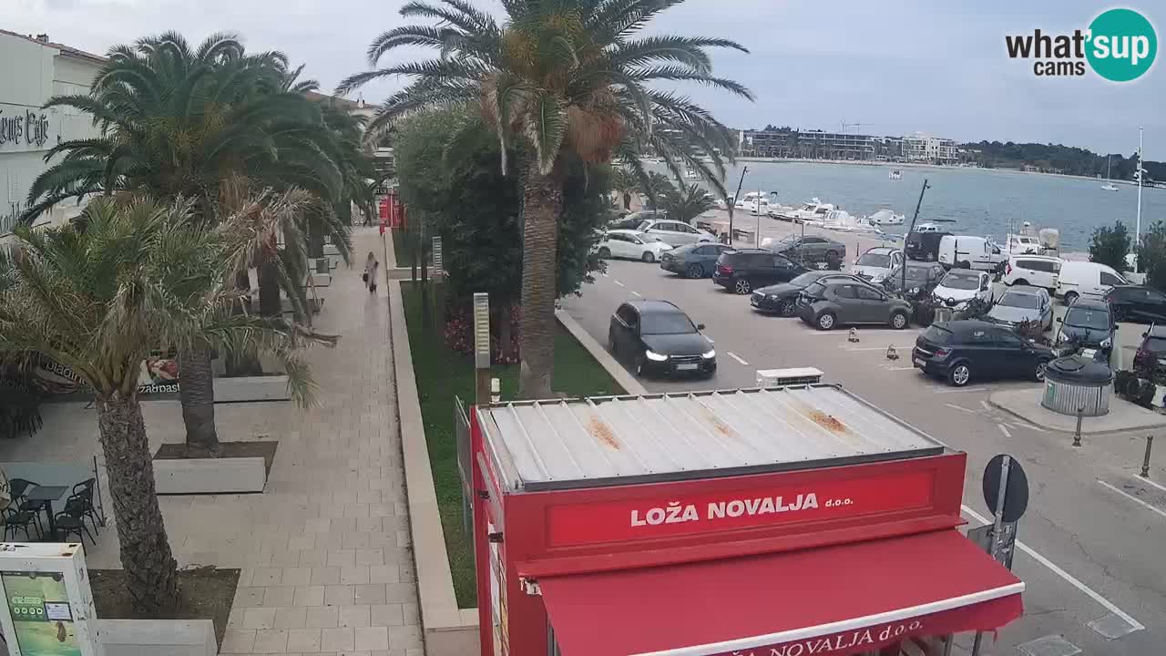 Camera en diecto Novalja – Obala Petra Krešimira IV