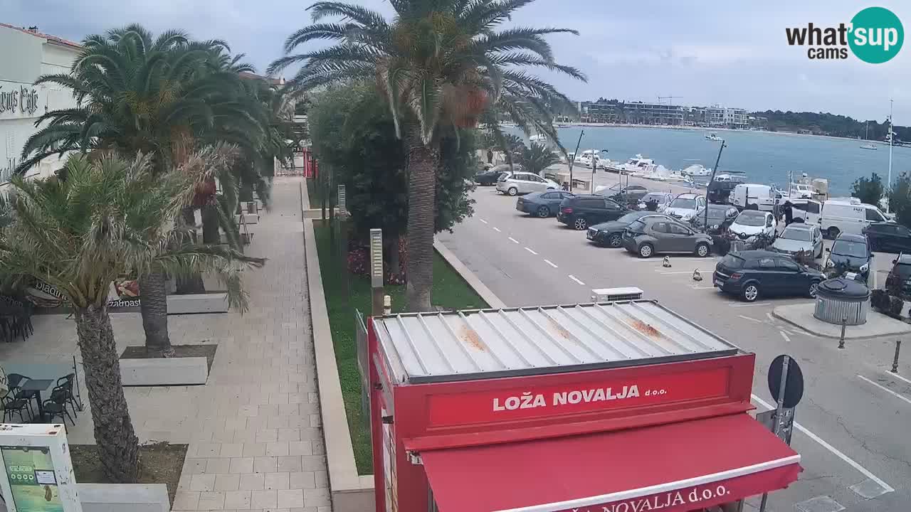Camera en diecto Novalja – Obala Petra Krešimira IV