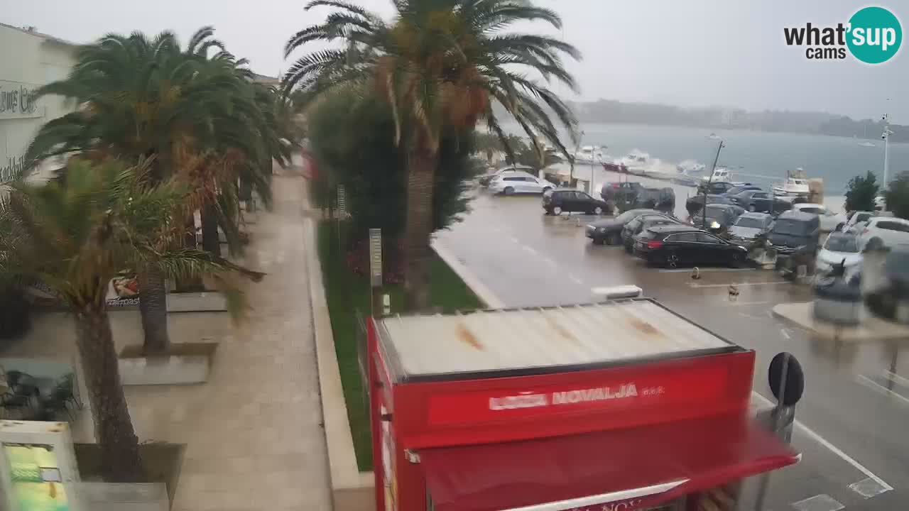 Webcam live Novalja – Obala Petra Krešimira IV