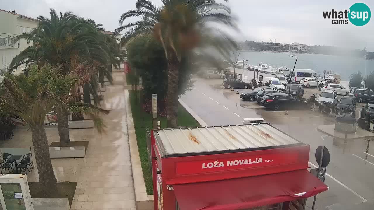 Camera en diecto Novalja – Obala Petra Krešimira IV