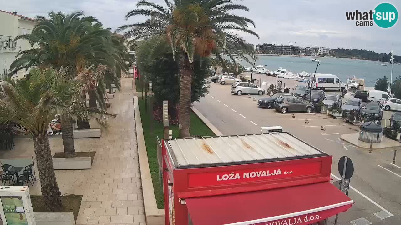 Camera en diecto Novalja – Obala Petra Krešimira IV