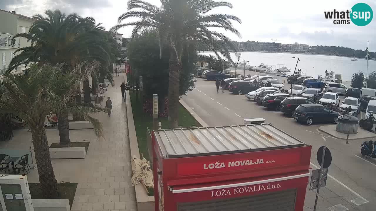 Camera en diecto Novalja – Obala Petra Krešimira IV