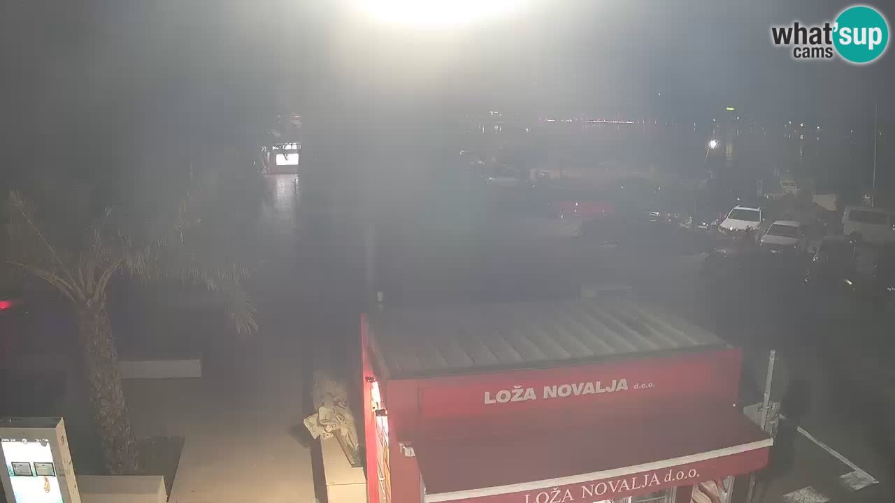 Camera en diecto Novalja – Obala Petra Krešimira IV