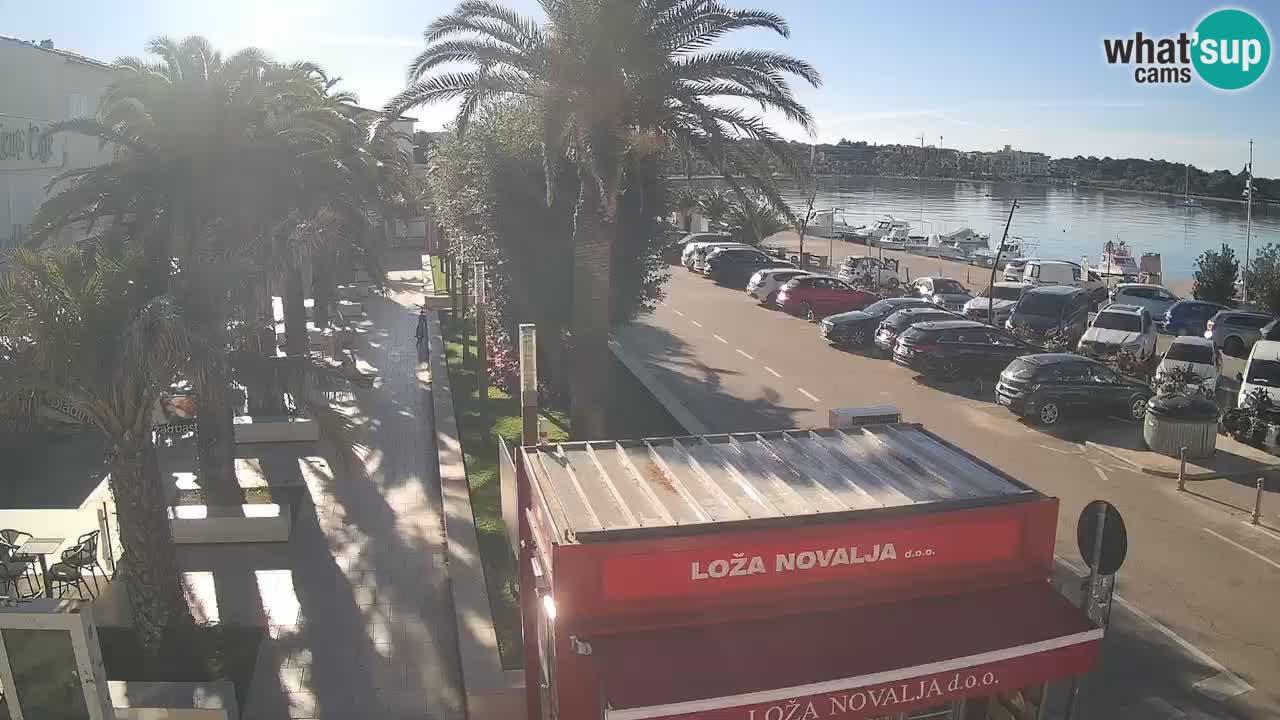 Camera en diecto Novalja – Obala Petra Krešimira IV