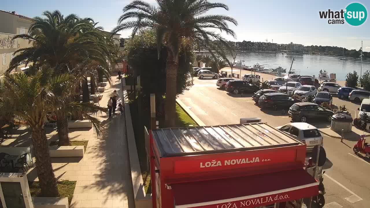 Camera en diecto Novalja – Obala Petra Krešimira IV