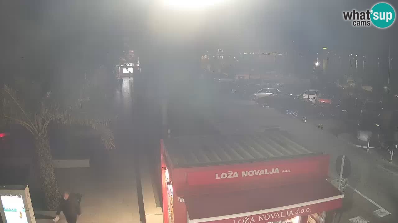 Camera en diecto Novalja – Obala Petra Krešimira IV