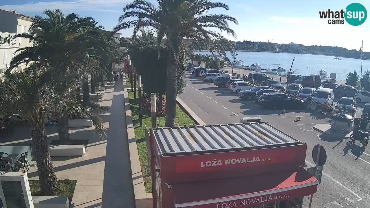 Web kamera Novalja – Obala Petra Krešimira IV