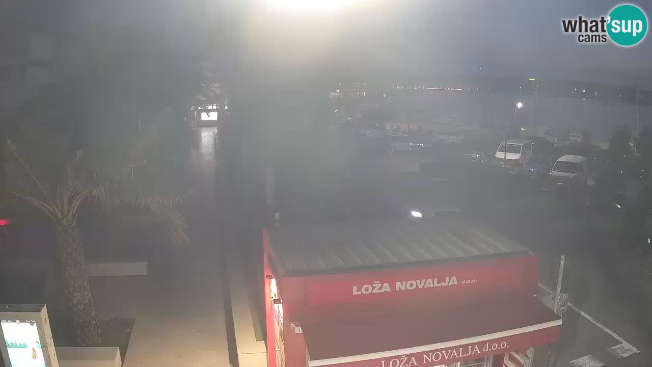 Camera en diecto Novalja – Obala Petra Krešimira IV