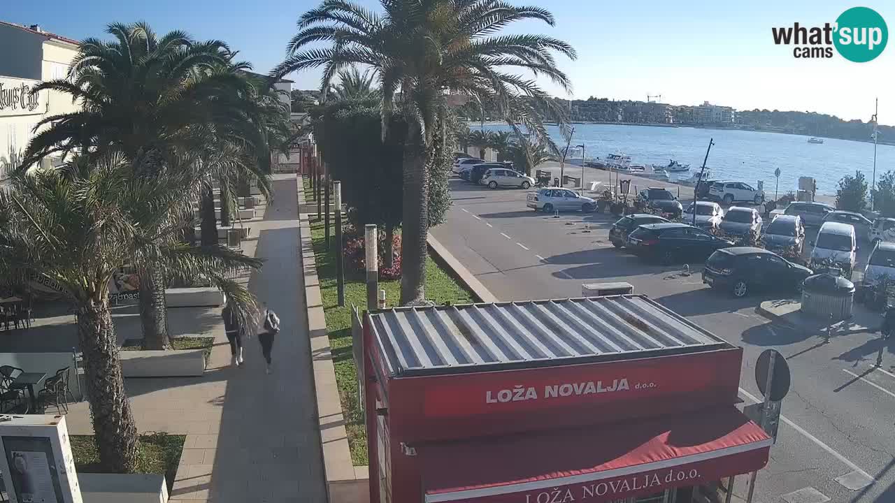 Web kamera Novalja – Obala Petra Krešimira IV