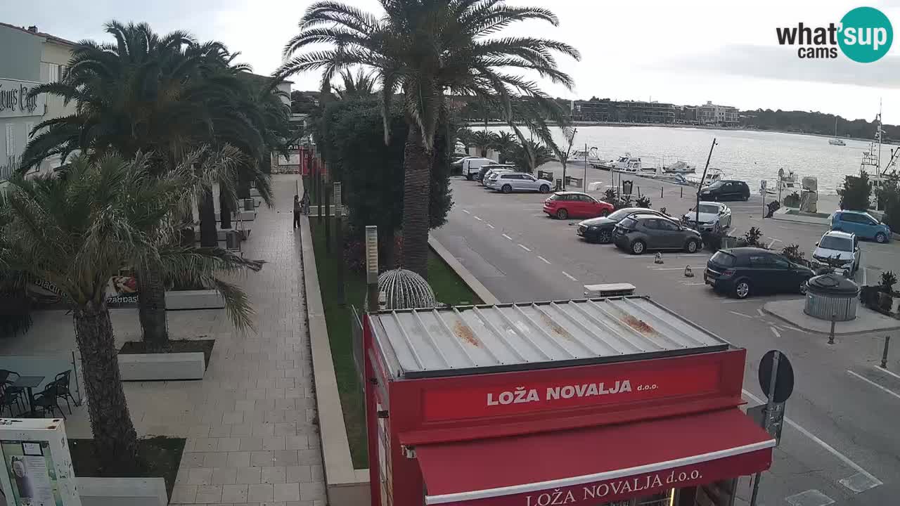 Camera en diecto Novalja – Obala Petra Krešimira IV