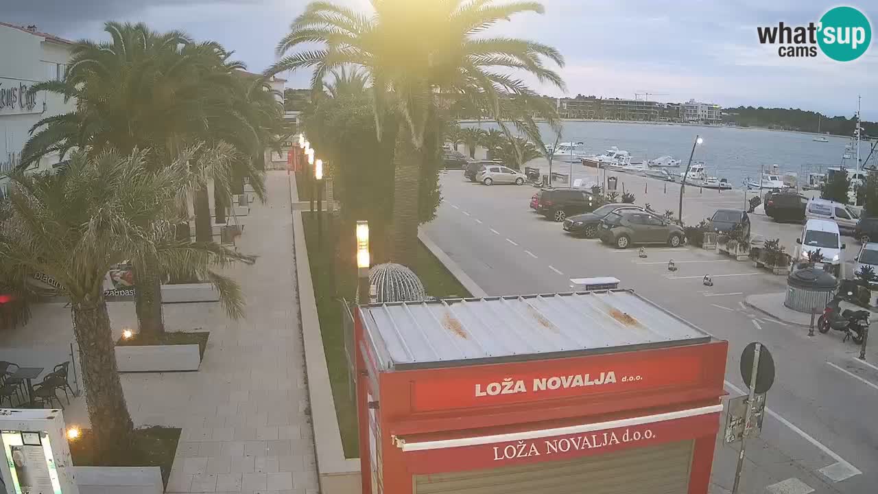 Web kamera Novalja – Obala Petra Krešimira IV