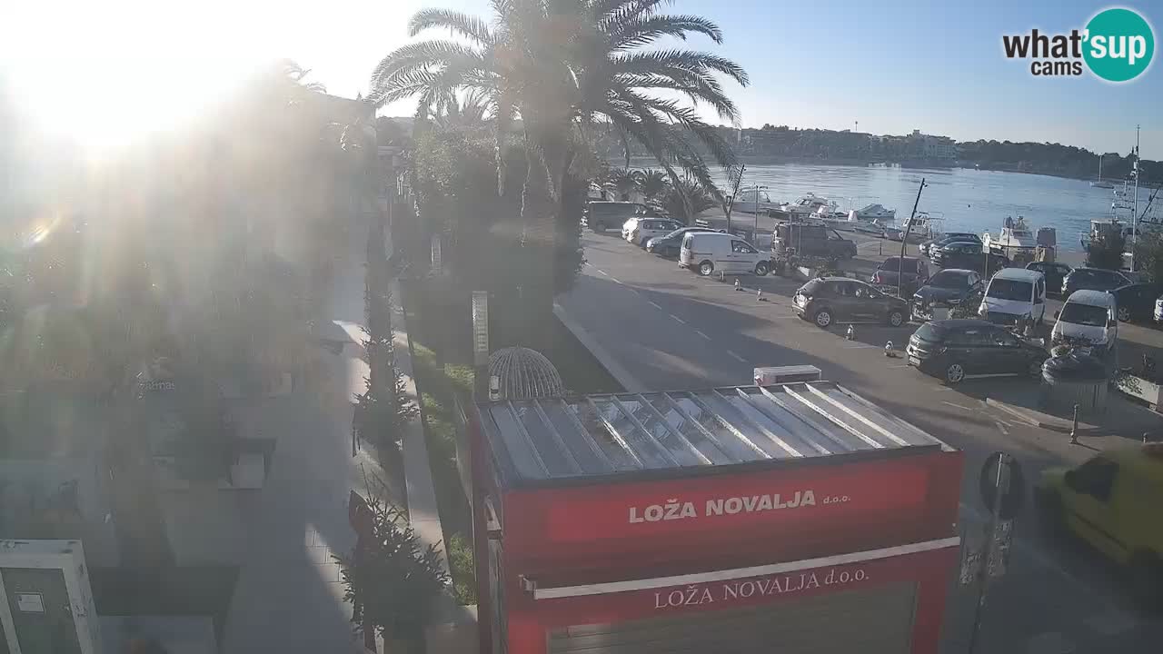 Live cam Novalja – Obala Petra Krešimira IV