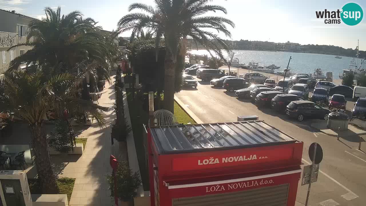 Spletna kamera Novalja – Obala Petra Krešimira IV