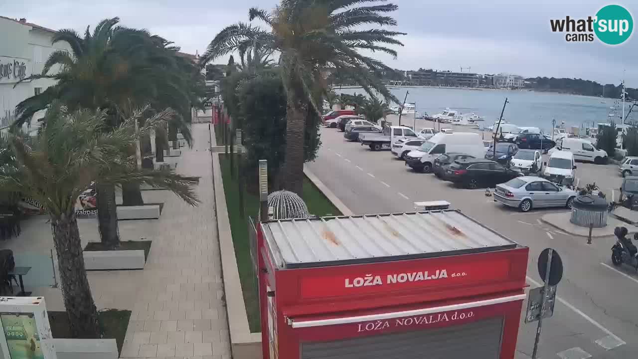 Live cam Novalja – Obala Petra Krešimira IV