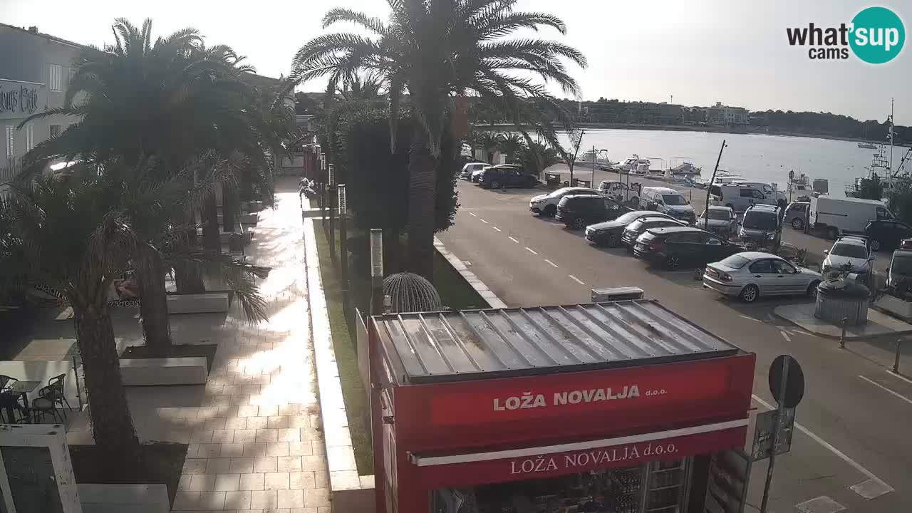 Camera en diecto Novalja – Obala Petra Krešimira IV