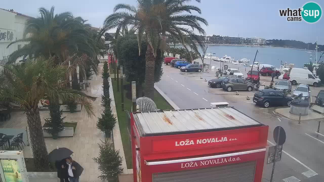 Webcam live Novalja – Obala Petra Krešimira IV